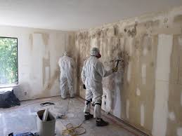 Best Water Damage & Mold Remediation in Chillicothe, MO